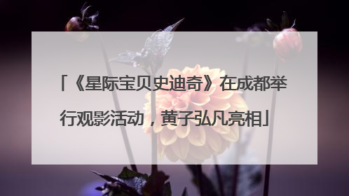 《星际宝贝史迪奇》在成都举行观影活动，黄子弘凡亮相