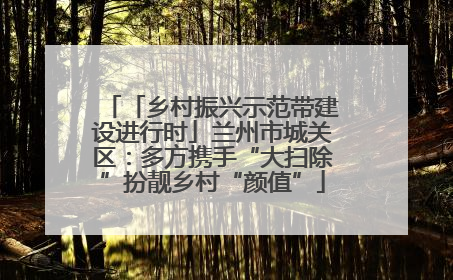 「乡村振兴示范带建设进行时」兰州市城关区：多方携手“大扫除”扮靓乡村“颜值”