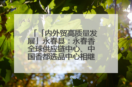 「内外贸高质量发展」永春县：永春香全球供应链中心、中国香都选品中心相继运营——一根香“点燃”百亿产业