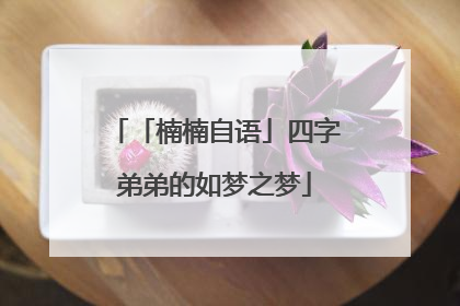「楠楠自语」四字弟弟的如梦之梦