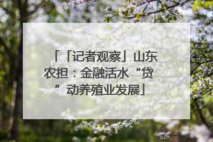 「记者观察」山东农担：金融活水“贷”动养殖业发展