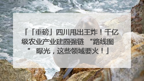 「重磅」四川甩出王炸！千亿级农业产业建圈强链 “路线图” 曝光，这些领域要火！