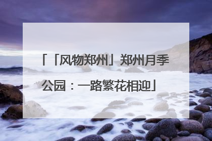 「风物郑州」郑州月季公园：一路繁花相迎