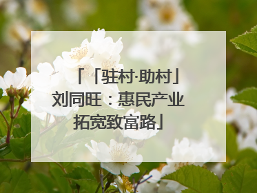 「驻村·助村」刘同旺：惠民产业拓宽致富路