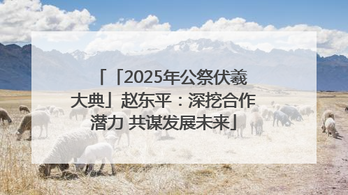 「2025年公祭伏羲大典」赵东平：深挖合作潜力 共谋发展未来