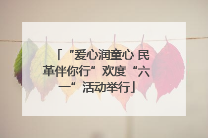 “爱心润童心 民革伴你行”欢度“六一”活动举行