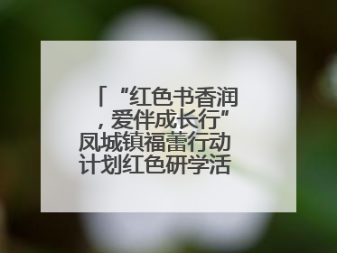“红色书香润，爱伴成长行”凤城镇福蕾行动计划红色研学活动圆满结束