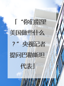 “你们指望美国做些什么？”央视记者提问巴勒斯坦代表