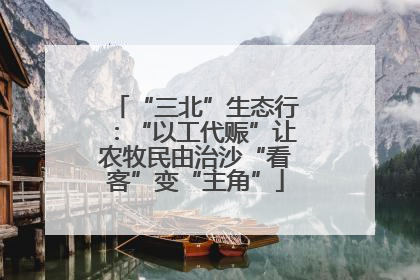 “三北”生态行：“以工代赈”让农牧民由治沙“看客”变“主角”