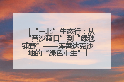 “三北”生态行：从“黄沙蔽日”到“绿毯铺野”——浑善达克沙地的“绿色重生”