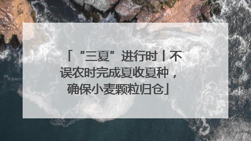 “三夏”进行时丨不误农时完成夏收夏种，确保小麦颗粒归仓