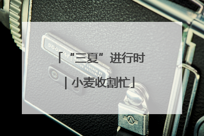 “三夏”进行时｜小麦收割忙