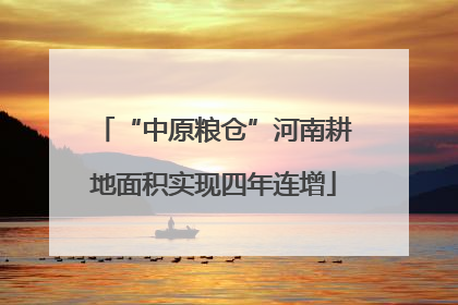 “中原粮仓”河南耕地面积实现四年连增