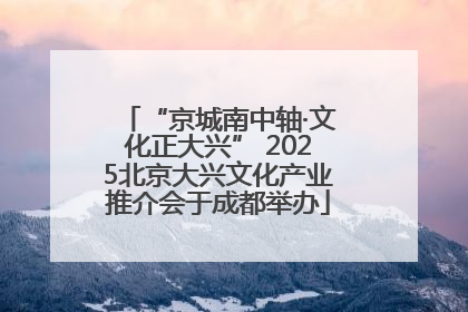 “京城南中轴·文化正大兴” 2025北京大兴文化产业推介会于成都举办