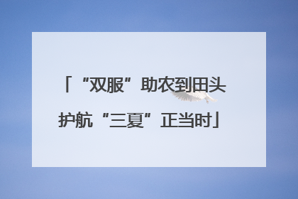 “双服”助农到田头 护航“三夏”正当时