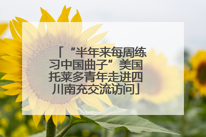 “半年来每周练习中国曲子”美国托莱多青年走进四川南充交流访问