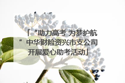 “助力高考 为梦护航”中华财险资兴市支公司开展爱心助考活动
