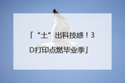 “土”出科技感！3D打印点燃毕业季