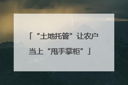 “土地托管”让农户当上“甩手掌柜”