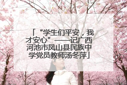 “学生们平安，我才安心”——记广西河池市凤山县民族中学党员教师汤冬萍