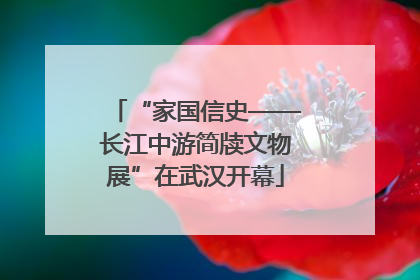 “家国信史——长江中游简牍文物展”在武汉开幕