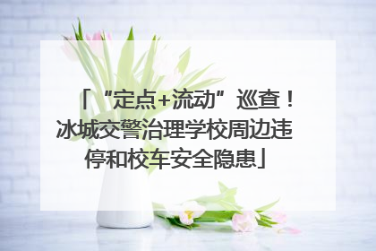“定点+流动”巡查！冰城交警治理学校周边违停和校车安全隐患