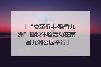“夏至祈丰·稻香九洲”插秧体验活动在南昌九洲公园举行