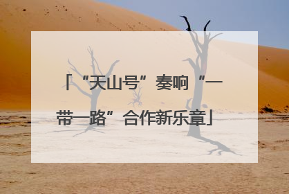 “天山号”奏响“一带一路”合作新乐章