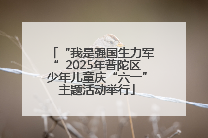 “我是强国生力军”2025年普陀区少年儿童庆“六一”主题活动举行
