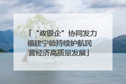 “政银企”协同发力 福建宁德持续护航民营经济高质量发展