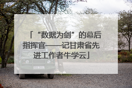 “数据为剑”的幕后指挥官——记甘肃省先进工作者牛学云