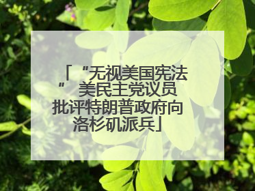“无视美国宪法” 美民主党议员批评特朗普政府向洛杉矶派兵