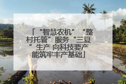 “智慧农机”“整村托管”服务“三夏”生产 向科技要产能筑牢丰产基础