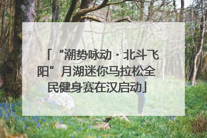 “潮势咏动・北斗飞阳”月湖迷你马拉松全民健身赛在汉启动