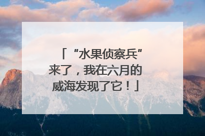 “水果侦察兵”来了，我在六月的威海发现了它！