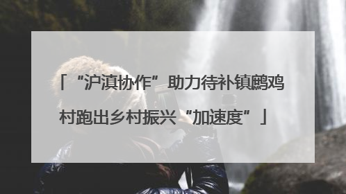 “沪滇协作”助力待补镇鹧鸡村跑出乡村振兴“加速度”