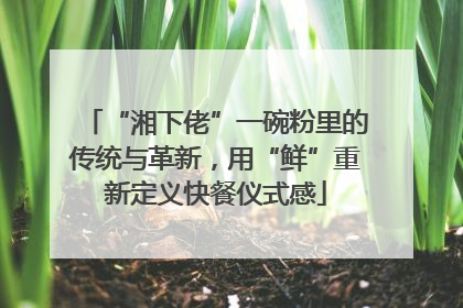 “湘下佬”一碗粉里的传统与革新，用“鲜”重新定义快餐仪式感