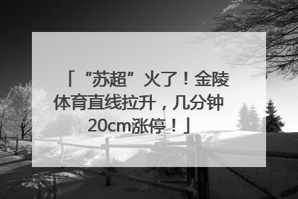 “苏超”火了！金陵体育直线拉升，几分钟20cm涨停！