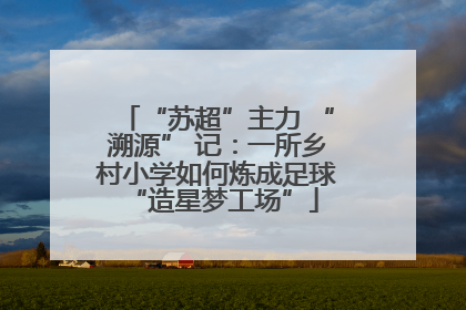 “苏超”主力 “溯源” 记：一所乡村小学如何炼成足球 “造星梦工场”
