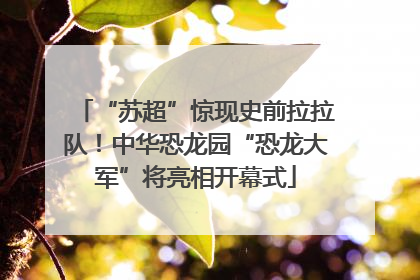 “苏超”惊现史前拉拉队！中华恐龙园“恐龙大军”将亮相开幕式