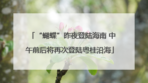 “蝴蝶”昨夜登陆海南 中午前后将再次登陆粤桂沿海