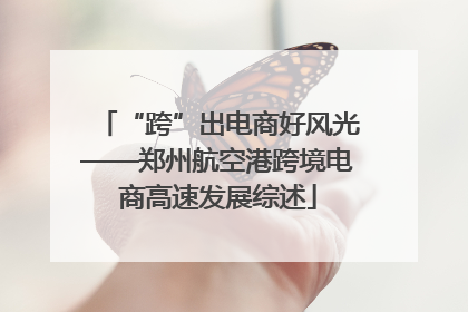 “跨”出电商好风光——郑州航空港跨境电商高速发展综述