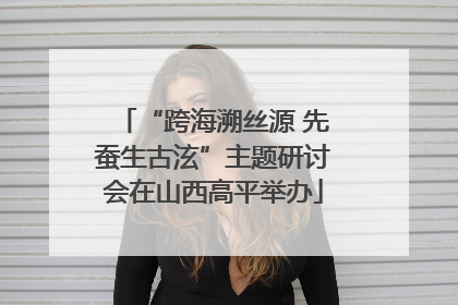 “跨海溯丝源 先蚕生古泫”主题研讨会在山西高平举办