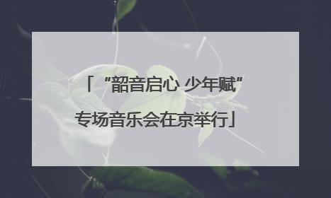 “韶音启心 少年赋”专场音乐会在京举行