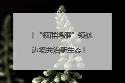 “领群鸿雁”领航边境共治新生态