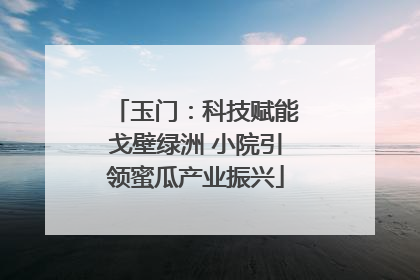 玉门：科技赋能戈壁绿洲 小院引领蜜瓜产业振兴