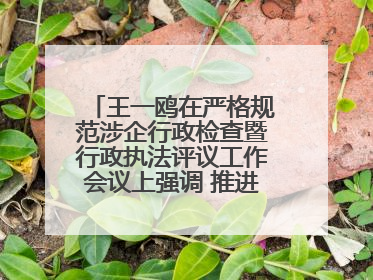王一鸥在严格规范涉企行政检查暨行政执法评议工作会议上强调 推进涉企行政检查质效大幅提升