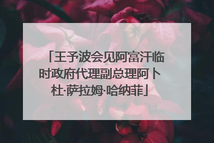 王予波会见阿富汗临时政府代理副总理阿卜杜·萨拉姆·哈纳菲
