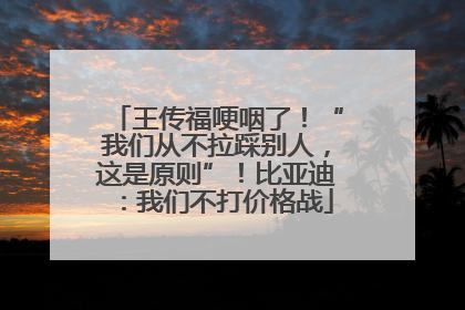 王传福哽咽了！“我们从不拉踩别人，这是原则”！比亚迪：我们不打价格战