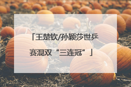 王楚钦/孙颖莎世乒赛混双“三连冠”